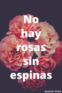 No hay rosas sin espinas