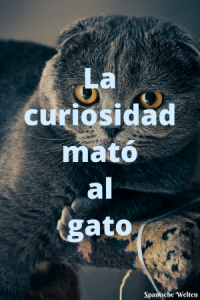 La curiosidad mato al gato
