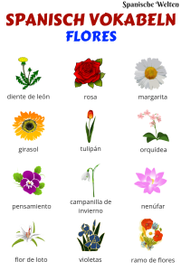 Spanisch Vokabeln Blumen