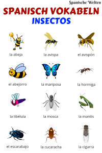 Spanisch Vokabeln Insekten