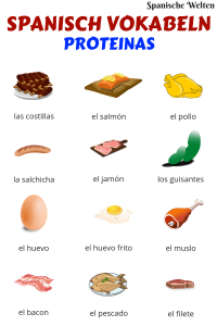 Spanisch Vokabeln Proteine