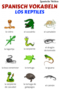 Spanisch Vokabeln Reptilien
